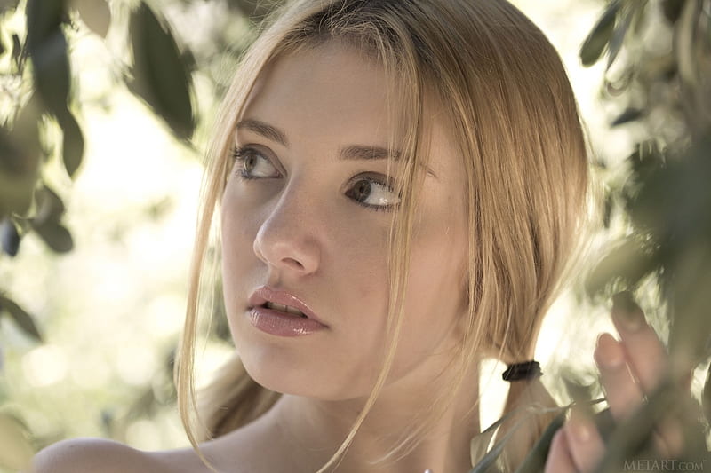 Lena Anderson Wiki: Biography, Career Journey & Net Worth 2026
